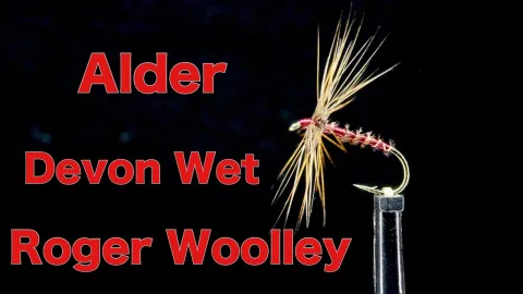 Video thumb for Alder Fly
