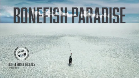 Video thumb for Bonefish Paradise