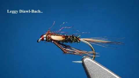 Video thumb for Leggy Diawl Bach