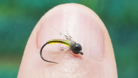 Video thumb for Jelly Juicy Nymph