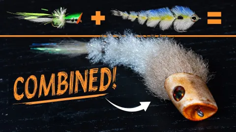 Video thumb for Gamechanger Popper
