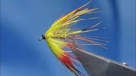 Video thumb for Wet Irish Mayfly