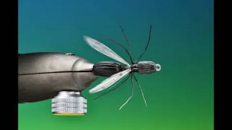 Video thumb for Deer Hair Ant