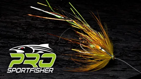 Video thumb for Banana Flashwing