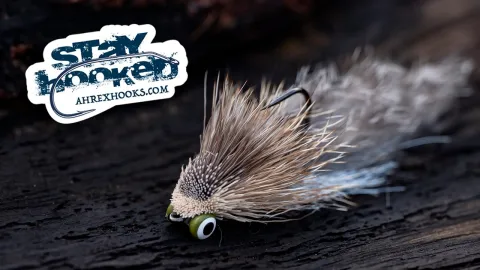 Video thumb for Chinchilla Sculpin Slider