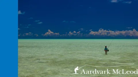 Video thumb for 9 Degrees, Land of Giants