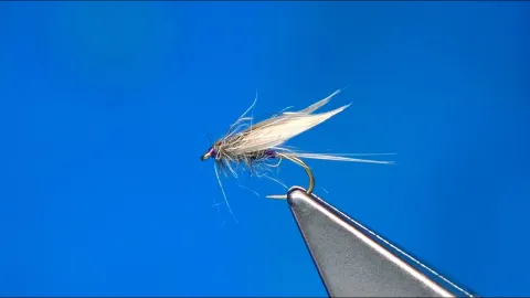Video thumb for Soft Hackle/Wet Fly Pattern from the 1780s