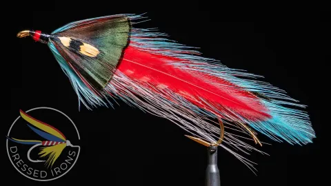 Video thumb for Tomahawk