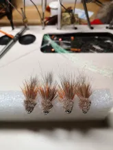 A small row of fishing flies