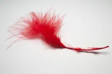 Marabou tip
