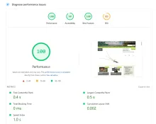 Google pagespeed graph