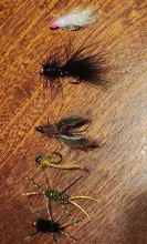 Flies for carp
