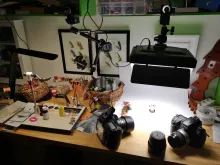 Lamp and camera over table