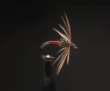 Red Tag Soft Hackle fishing fly