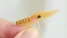 Video thumb for Polar Dub Shrimp