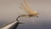 Video thumb for Mercer's Missing Link