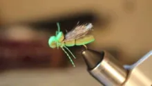 Video thumb for Stanley's Hopper
