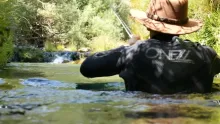 Video thumb for More Than Fishing
