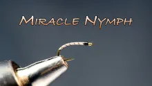 Video thumb for Miracle Nymph