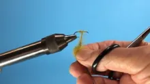 Video thumb for Feed Dubbing