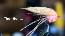 Video thumb for Presidential Fly