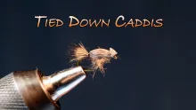 Video thumb for Tied Down Caddis