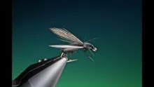Video thumb for Float foam ant