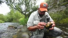 Video thumb for Fly fishing in Alsace