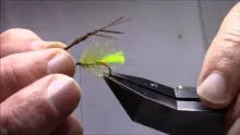 Video thumb for Lime George