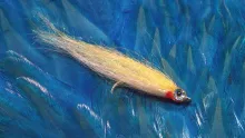 Video thumb for Craft Fur Anchovy