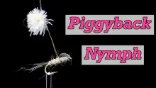 Video thumb for Piggyback Nymph