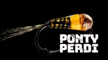 Video thumb for Ponty Perdi