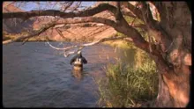 Video thumb for Oregon Water