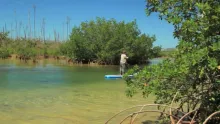 Video thumb for Bonefish SUP
