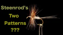Video thumb for Steenrod's Two Main Patterns