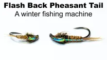 Video thumb for Flash Back Pheasant Tail
