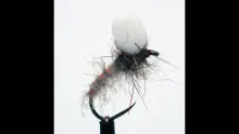 Video thumb for Grafham Suspender Shrimp