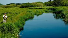 Video thumb for A tour of a Danish spring creek