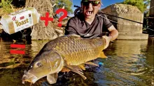 Video thumb for Fly fishing with bread flies - it doesn't get any better!