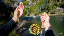 Video thumb for Big Angry Trout Love Big Streamers