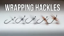Video thumb for The Hackle Test That Changed How I Tie