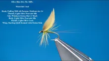 Video thumb for Tying Dry Flies from the 1800's Using Onion Skins