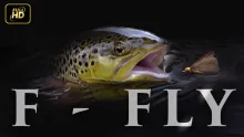 Video thumb for F-FLy