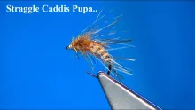 Video thumb for Brown & Tan Straggle Caddis Pupa