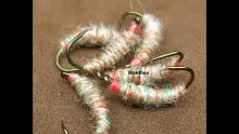 Video thumb for Killer Bug Variation
