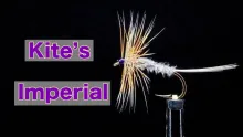 Video thumb for Kite's Imperial