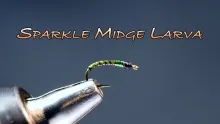 Video thumb for Sparkle Midge Larva