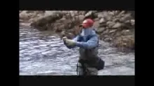 Video thumb for A Great Day To Be a Fly Fisherman