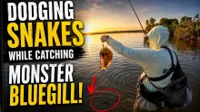 Video thumb for Fishing a new Lake, catching big bluegill!
