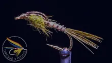 Video thumb for Biot BWO Nymph